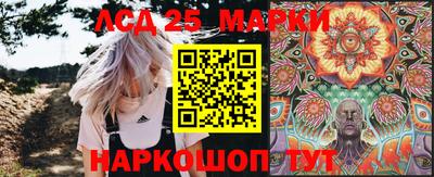 шишки Кандалакша