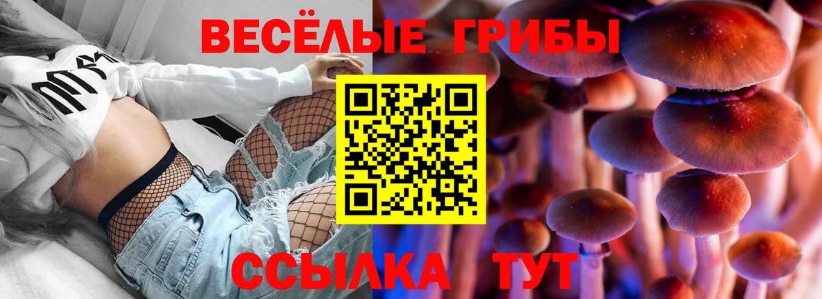 Псилоцибиновые грибы прущие грибы Красноярск